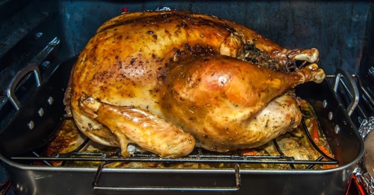 Thanksgiving turkey